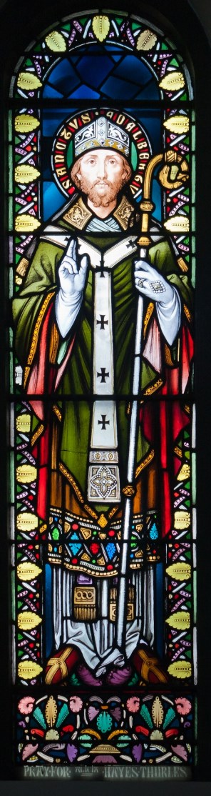 성 대 알베르토_photo by Andreas F Borchert_in the Thurles Cathedral of the Assumption of the Blessed Virgin Mary in Tipperary_Ireland.jpg